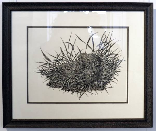 - a , Ink, Paper drawing by Nicholas Smith, measuring 20 x 25 cm (H x W) framed at 35 x 43 cm £250